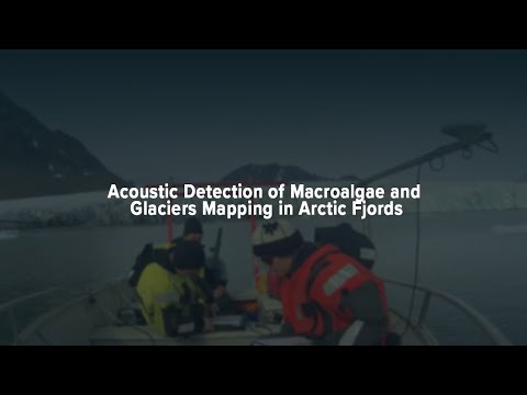 Acoustic Detection of Macroalgae and Glaciers Mapping in Arctic Fjords