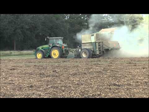 how to harvest peanuts