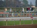 Horse Racing from Santa Anita Horse Racing from Santa Anita