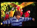 imprisoned-parrots-with-subtitles.html