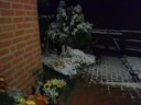 first_snow.mpg