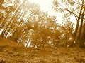 Parkour Parkour