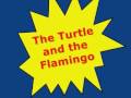 The Story of the Turtle and the Flamingo