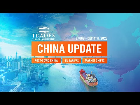 3MMI - China Update: Post-Covid China, EU Russia Tariffs, Market Shifts, CNY Closures