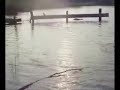 traíra com fly
