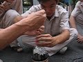 HCI mentos, root beer atomiser HCI mentos, root beer atomiser