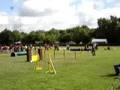 Filipe Vilhena / Iris - Jumping Indiv. EO2008