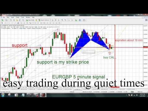 Binary options geek