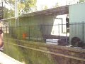 CityRail: Arriving at Wyong CityRail: Arriving at Wyong
