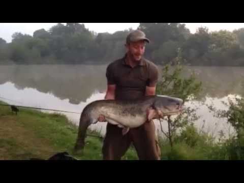 *Customer Video* Catfishing at Glehias, Jul 2014 *Customer Video* Catfishing at Glehias, Jul 2014