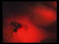 Recoil Shunt Recoil Shunt
