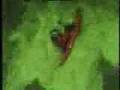 Recoil Shunt