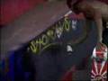 Ryan sheckler, Bam Margera,Chad Muska