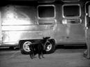 Radiohead - Street Spirit (Fade Out) Radiohead - Street Spirit (Fade Out)