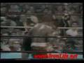 Mike-Tyson-Mma-Pride