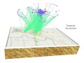 A Complex Network Approach to Control Epidemics in Rural Regions