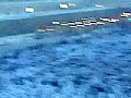 MOV00306