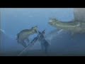 Monster Hunter 3 Wii - Monster Hunter 3 [Escuadr�n Pikmin]