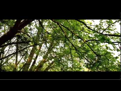 KAMNOUZE NESLY - ton ange