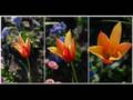 videos de NEW IRISH WRITING - S.D.CLIFFORD - NOWHERE 2 NOWHERE