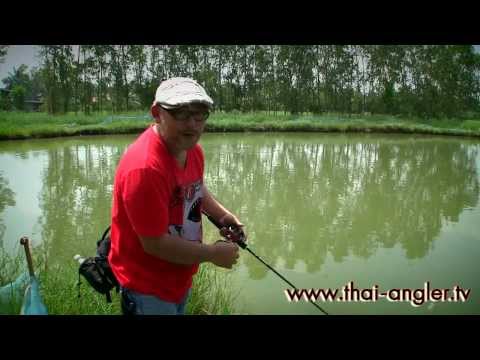 ตกปลาช่อน - เท็กซัส เป็นชื่อวิธีการตกปลาด้วยเหยื่อปลอมอย่างหนึ่ง...