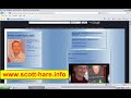 How are you building your 5linx business? Vol.2 How are you building your 5linx business? Vol.2