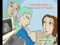 reel 2d animation