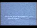 Nessie caught on tape