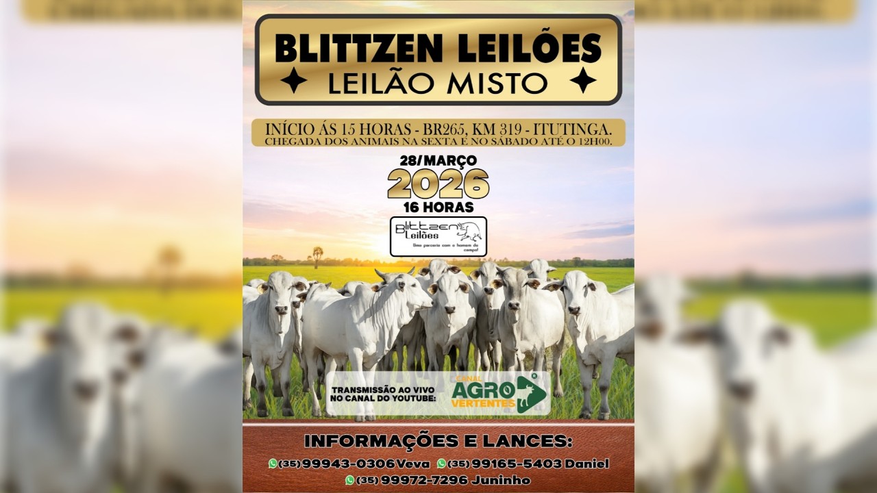 LEILÃO MISTO BLITTZEN LEILÕES  - ITUTINGA/MG - 28/03/2026