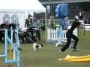 AGILITY - European Open 2008