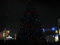 Symphony In Lights-Canon D