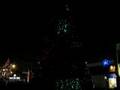 Symphony In Lights-Canon D