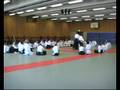 Aikido Union Deutschland e.V.