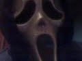 CONEJO DIABOLICO 1 (CONEJO CUDEIRO) CONEJO DIABOLICO 1 (CONEJO CUDEIRO)