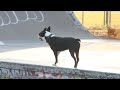 See video