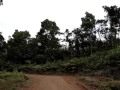 Day Four River Rafting Upper Navua Fiji #2 07 ...