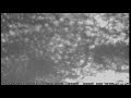 Lluvia-Estrellas-Vid