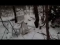 Survival: A Video Blog About Surviving