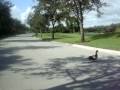 MOV00327 MOV00327
