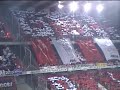 standard anderlecht standard anderlecht