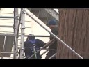 Tree sitters in court