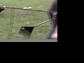 Gyp at the Herding Instinct Test