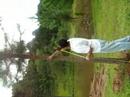 pinhoo