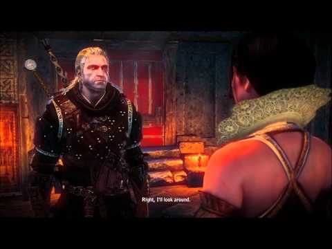 The Witcher 2 : Assassins of Kings