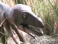 Len TV:  A Trip To The Real Zoo