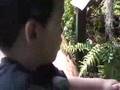 Len TV:  A Trip To The Real Zoo