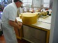 Making Parmigiano Reggiano (part 9)