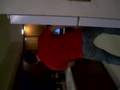 chazy danseing