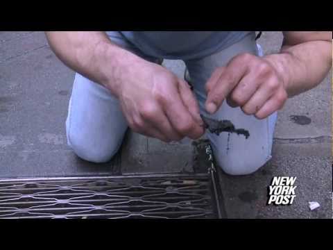 Urban Gold Miner - New York Post