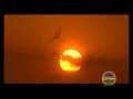 motril: la vida tropical